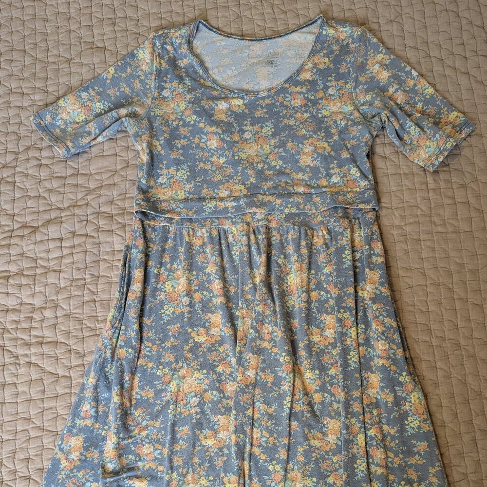 Latched Mama Maternity & Nursing Dress
